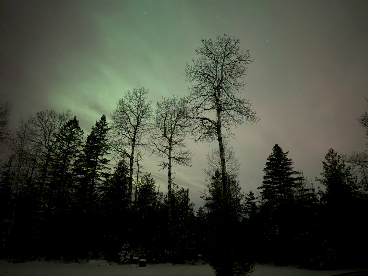 Picture of Norther Lights on the Pineault's 60 Acres